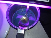 DSC01842.JPG