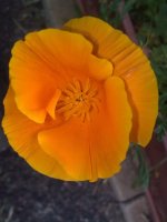 Image0427.jpg