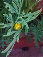 Image0373.jpg