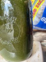 IMG_4995.jpeg