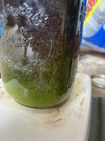 IMG_4994.jpeg