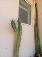 IMG_20260517_120345.jpg