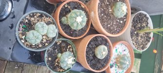 20260518_194758.jpg