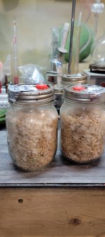 Rice-Enigma.jpg Rice-Enigma.jpg