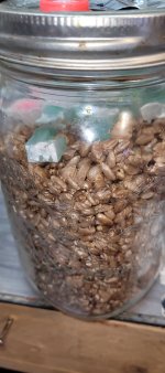 Thailandagar1.jpg