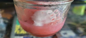 agar1.jpg