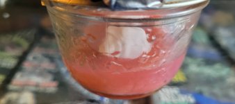 agar2.jpg