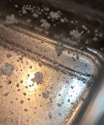 20260606_170050.jpg