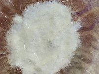 20260506_201225.jpg