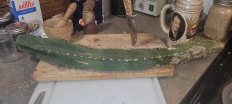 cutting2.jpg