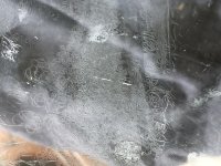 IMG_1342.JPG