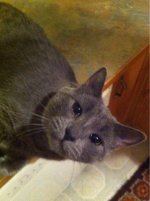 smokey.jpg