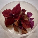 IMG_8054.jpeg
