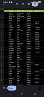 Screenshot_20260612_074853_Sheets.jpg