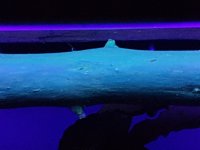 20240127_195806.jpg