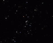 OrionTwinkle.gif