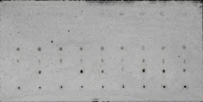 1781524440626.png