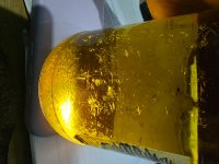 20260620_180525.jpg