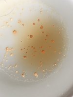 FED77CC9-EDDA-4564-A8FF-D05634008AD7.jpeg
