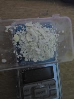 2597.jpg