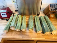 8ft-jiimz-bridgesii-tea-brew-steps-experience-report-v0-cqaqqtaz8oah1.webp