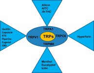 trpv group.jpg trpv group.jpg