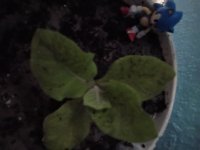IMG_20260728_011116813.jpg