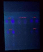 RDT_20260731_2016004902478928765295384.jpg