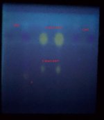 RDT_20260731_2016228462813687758337397.jpg