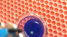 blue iqoprop after cleaning.jpg
