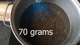 capipi color.jpg