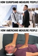 11800.jpg