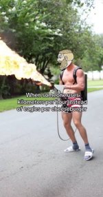11799.jpg