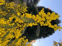 IMG_3662.jpeg