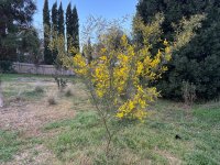 IMG_3638.jpeg