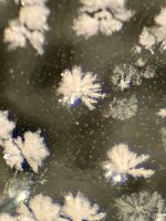 IMG_1426.jpeg