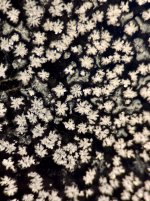 IMG_1438.jpeg