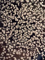 IMG_1439.jpeg