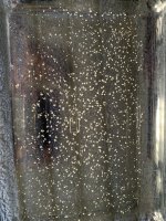 IMG_0736.jpeg