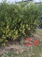IMG_20260815_194649.jpg