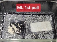 ml_1stpull.jpg