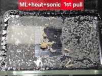 ml_heat_sonic_1stpull.jpg