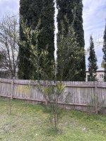 IMG_3773.jpeg