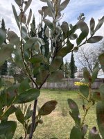 IMG_3772.jpeg