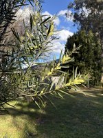 IMG_3765.jpeg