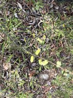 IMG_3760.jpeg