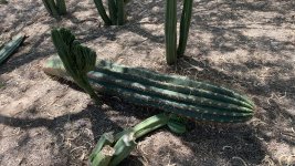 IMG_0892.jpeg