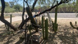 IMG_0912.jpeg