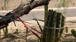 IMG_0924.jpeg