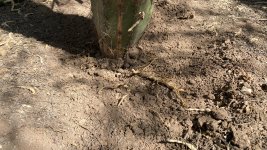 IMG_0923.jpeg
